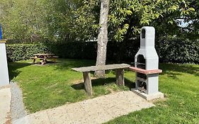 Les Hirondelles Au Bord De L'Eau